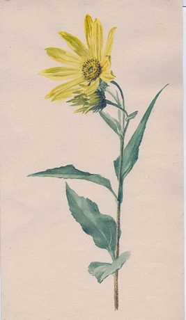 Grace French Paintings